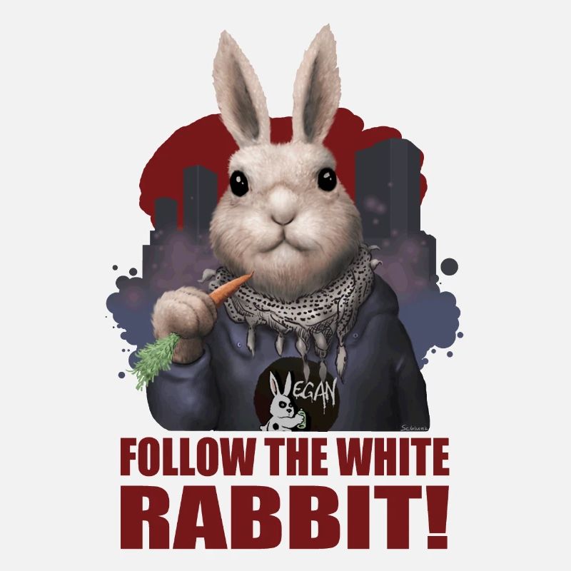 Follow the white Rabbit