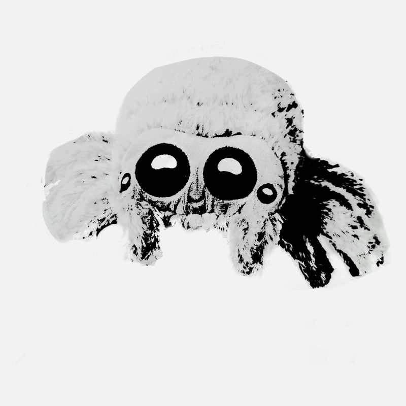 Spider, tarantula illustration, gray