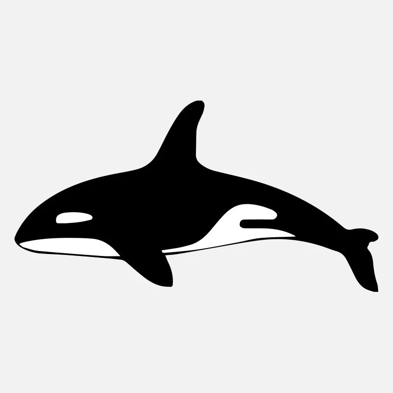 Killer whale shark Ozean