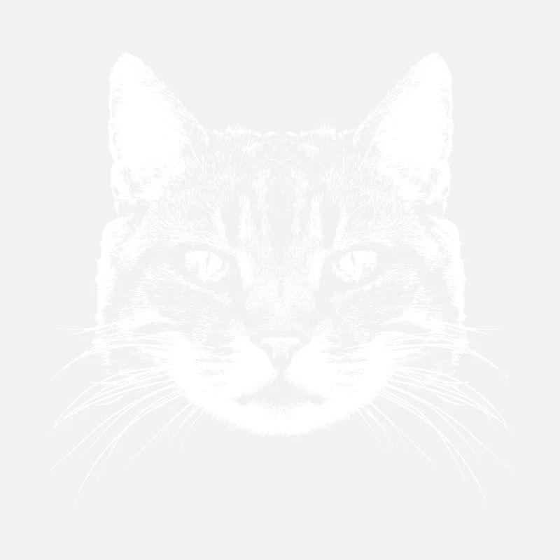 Chat / Chat / Coon principal