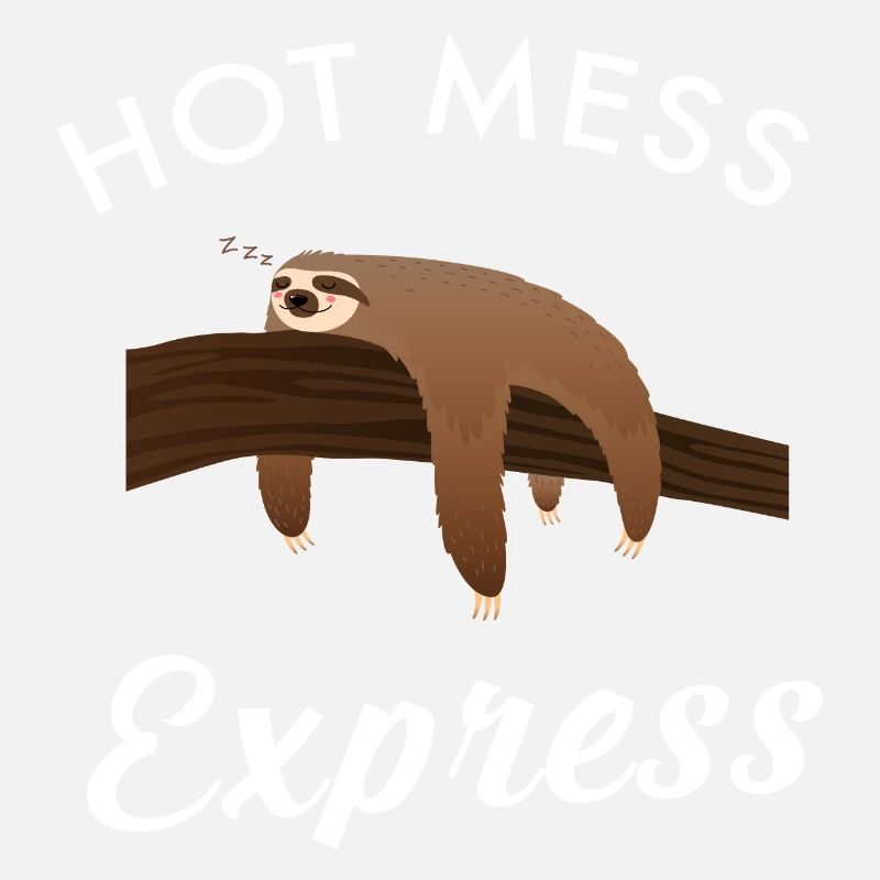 Hot Mess Express Lazy Sloth Chill Slogan