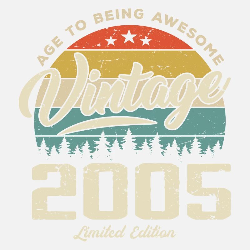 Vintage Retro Style Anniversary Gift 2005