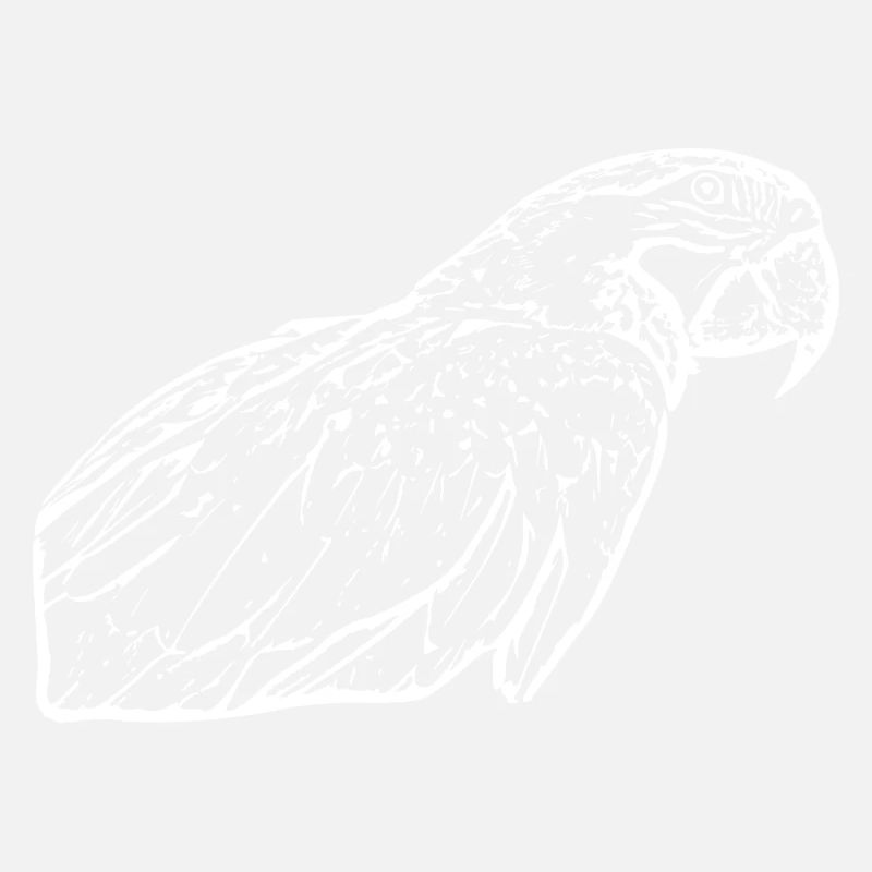 Perroquets Oiseau Blanc