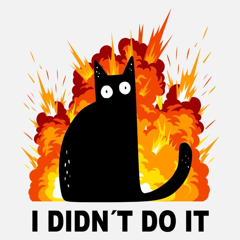 Katze I didn´t do it Explosion Schwarze Katze