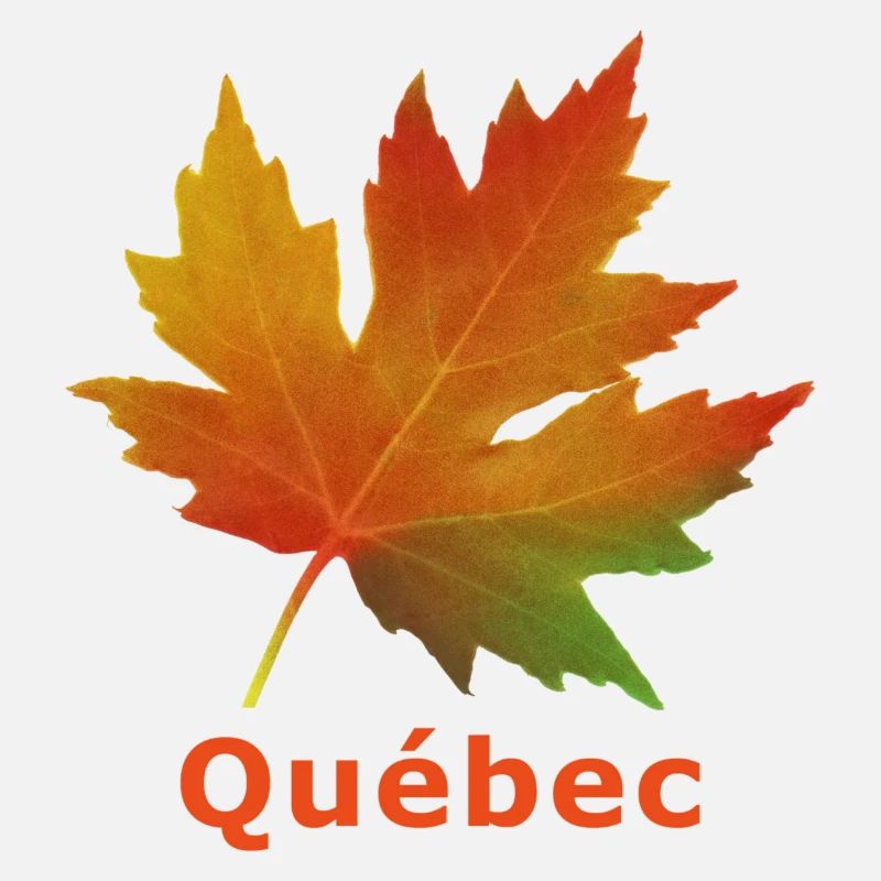 Québec feuille érable automne
