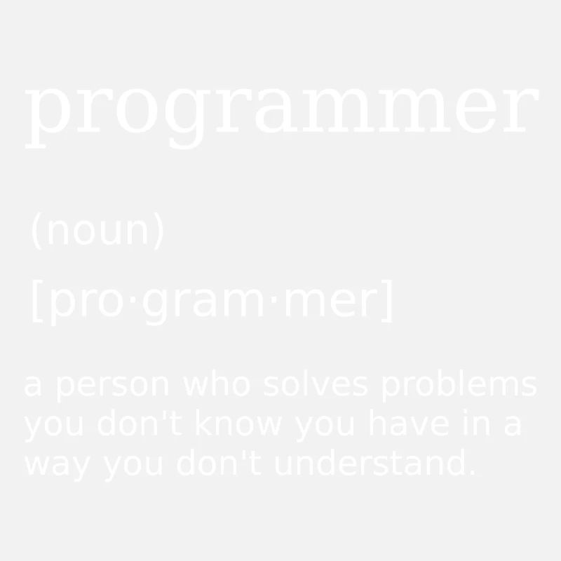 Programmer Spruch Informatiker Computer Scientist