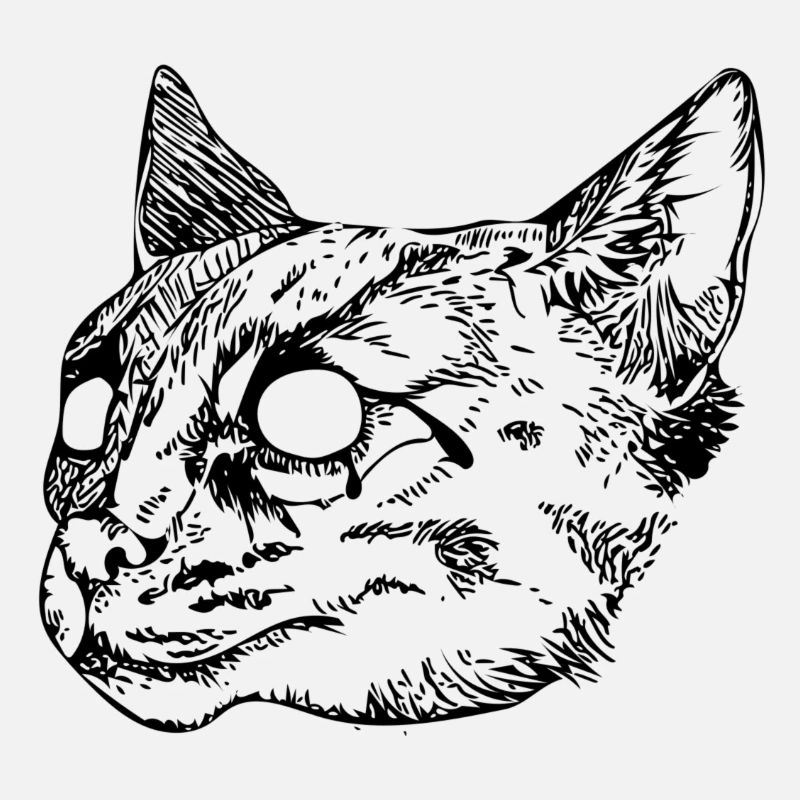 Wildcat