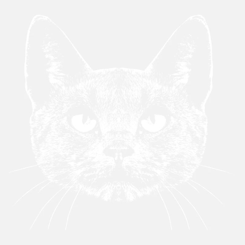 Cat / Portrait