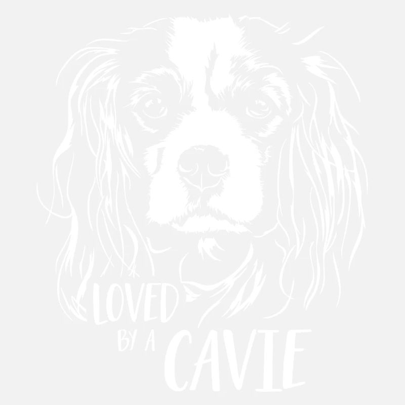 CAVALIER KING CHARLES SPANIEL aimait Cavie Wilsigns