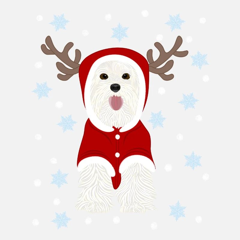 Weißer Terrier Weihnachtsmann Anzug Schneesterne