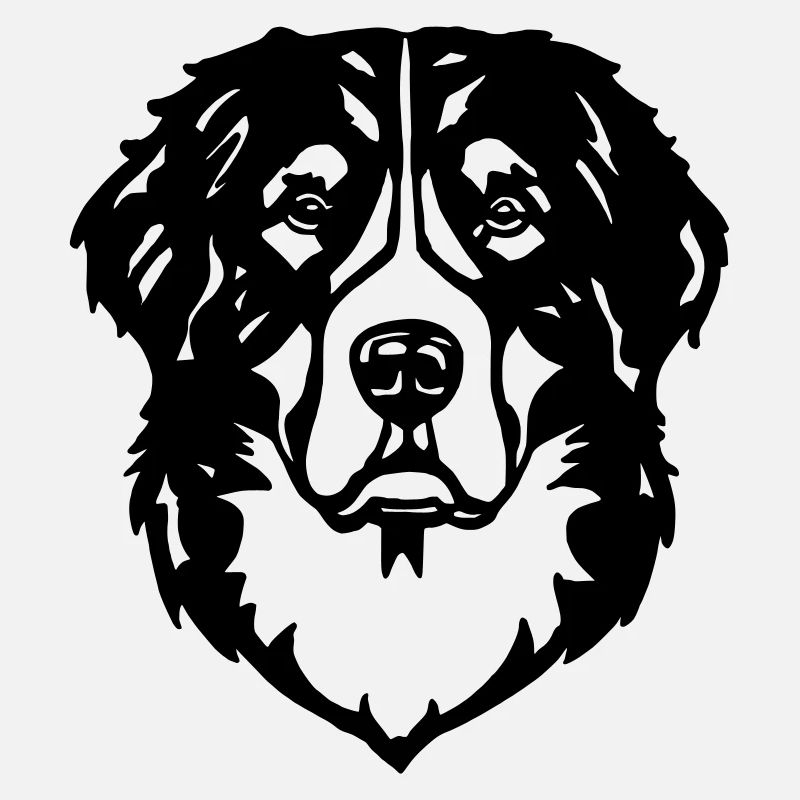 Bernese Mountain Dog