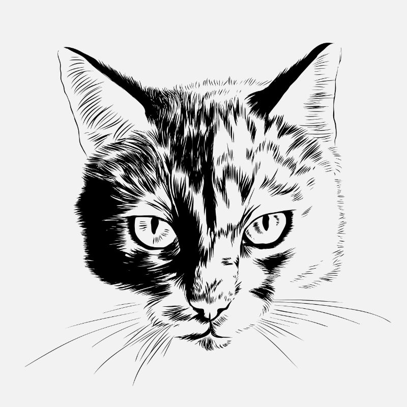 Katzenportrait