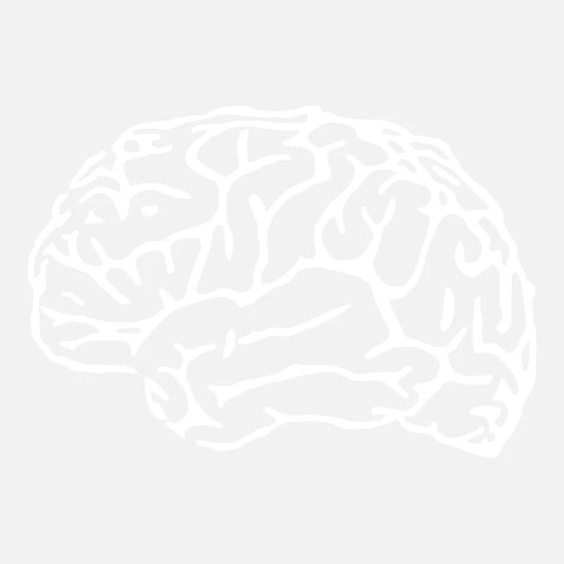 cerveau