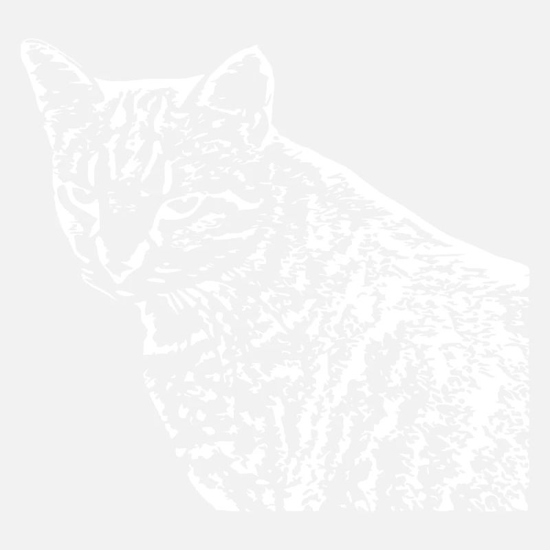 Cat White White Cats