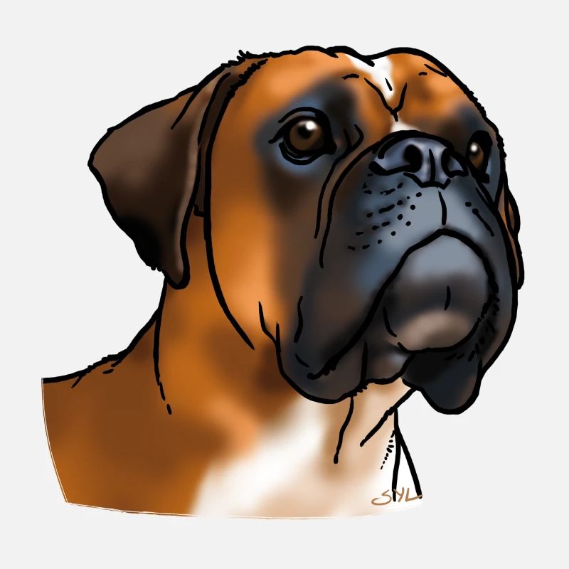 Boxer Hundekopf