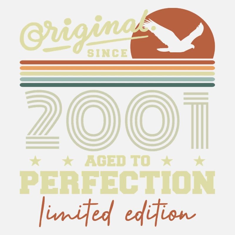 Original 2001 Retro 2001 Birthday Gift 2001