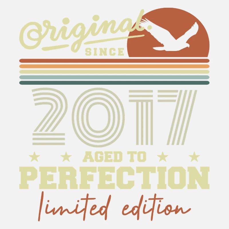 Original 2017 Retro 2017 Birthday Gift 2017