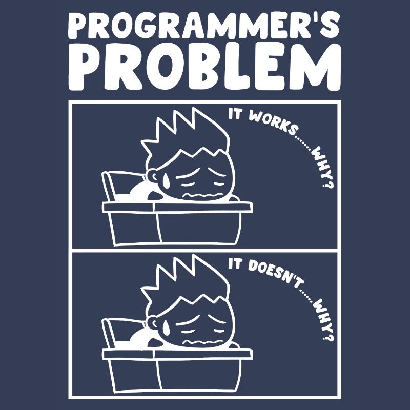 Programmers Problem Computer Programmer