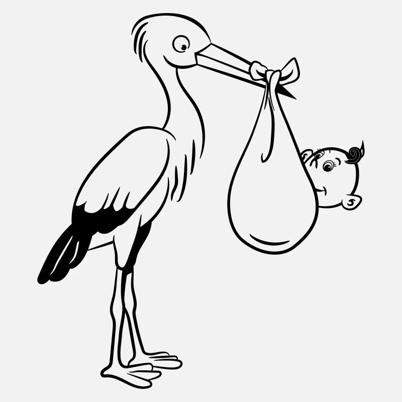 naissance cigogne bébé