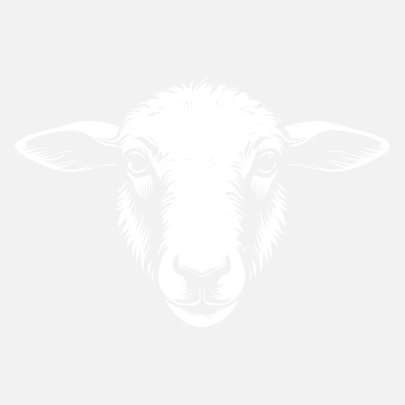 Mouton / Tête de mouton