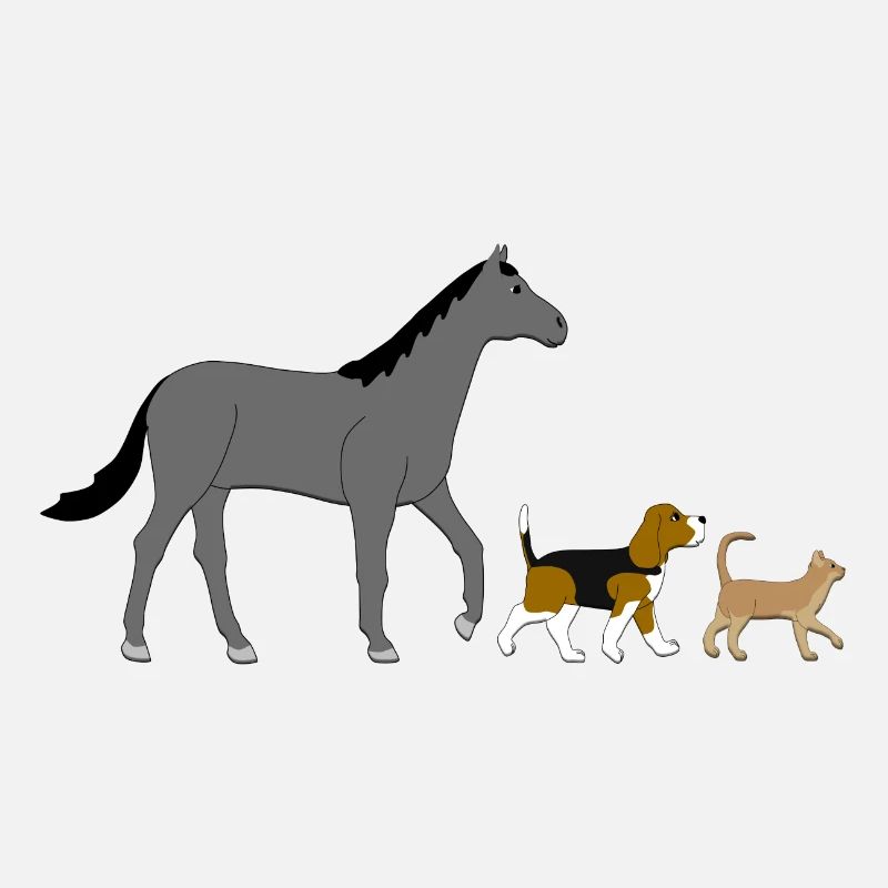 Pferd Hund und Katz