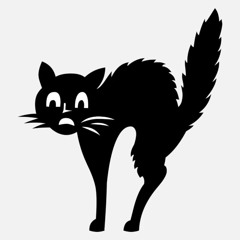 Katze Angst