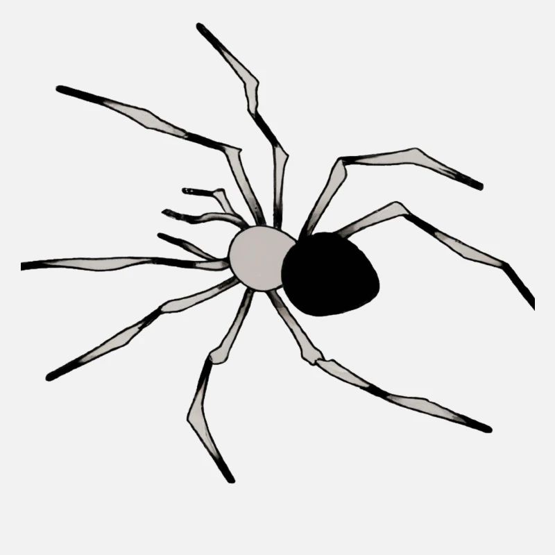 Spinnen-Illustration