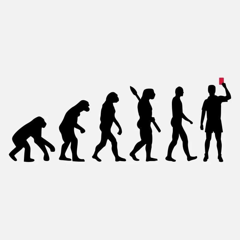Évolution Arbitre