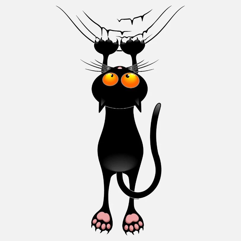 Funny Cat Meme Hanging on Fabric Curtain