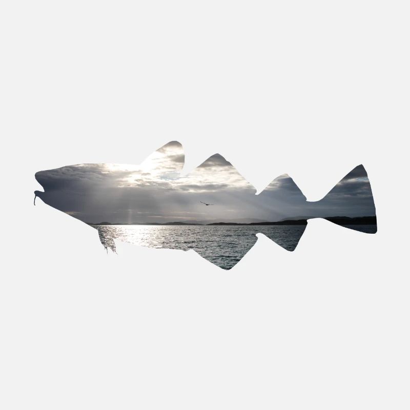 Cod fishing Norway