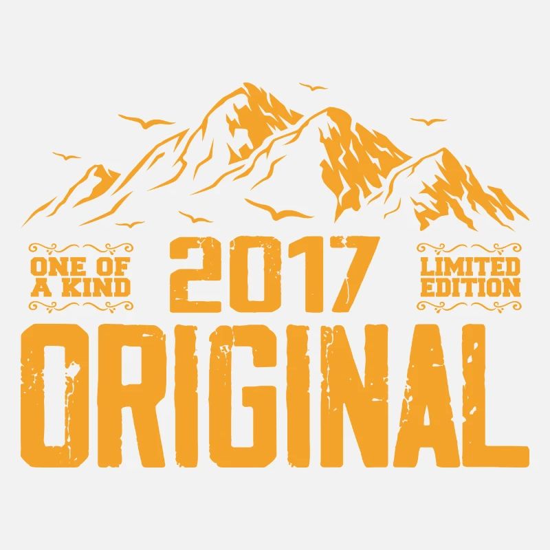 Vintage 2017 Birthday Gift - Retro 2017