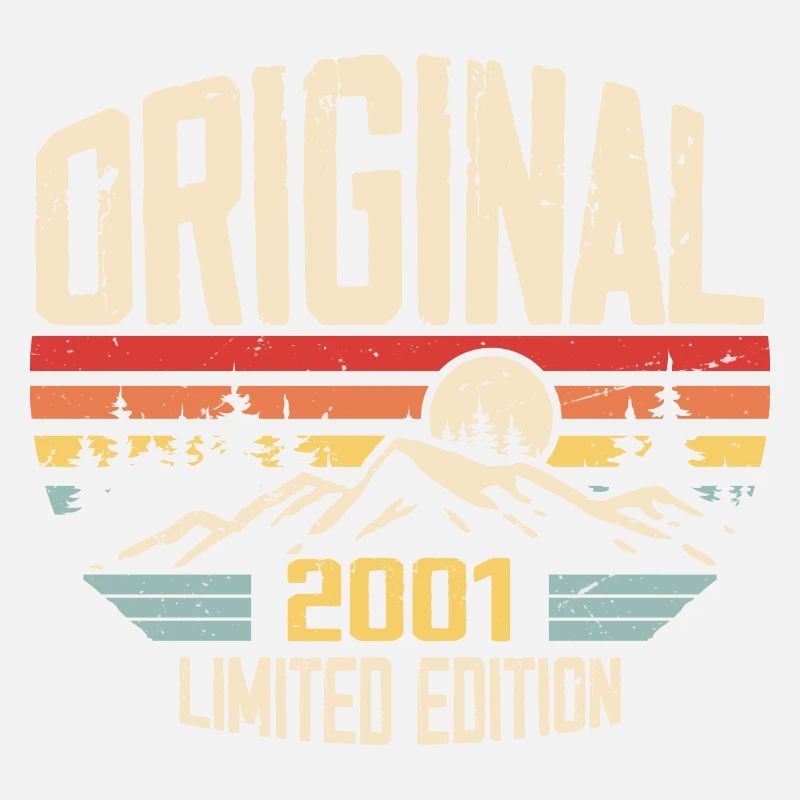Nostalgic 2001 Birthday Gift 2001