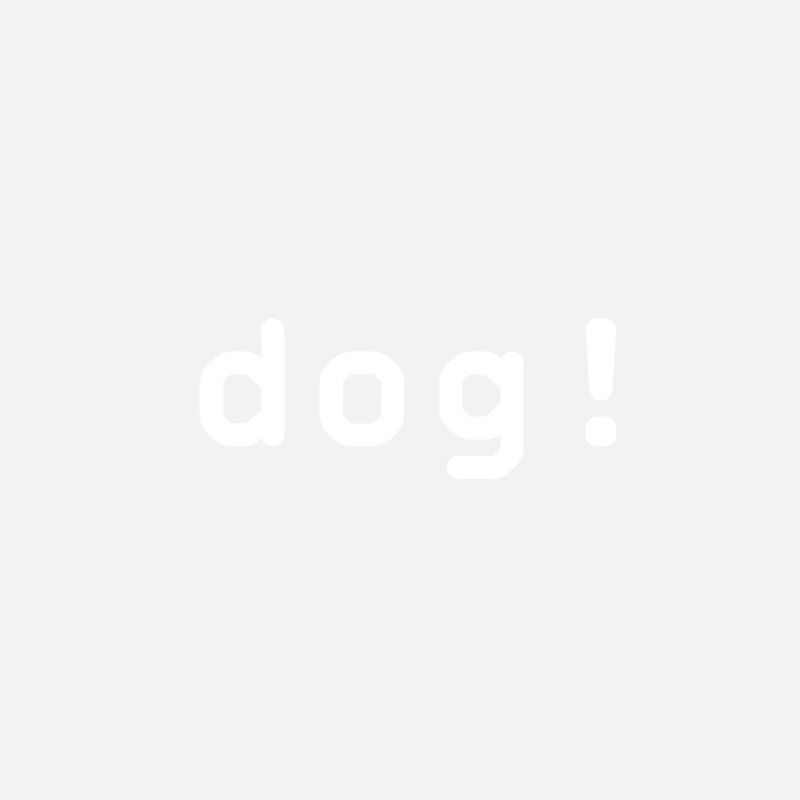 chien!