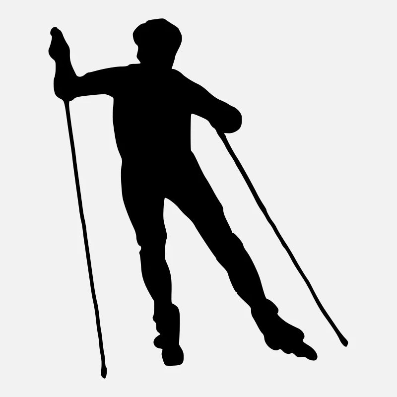 nordic skating