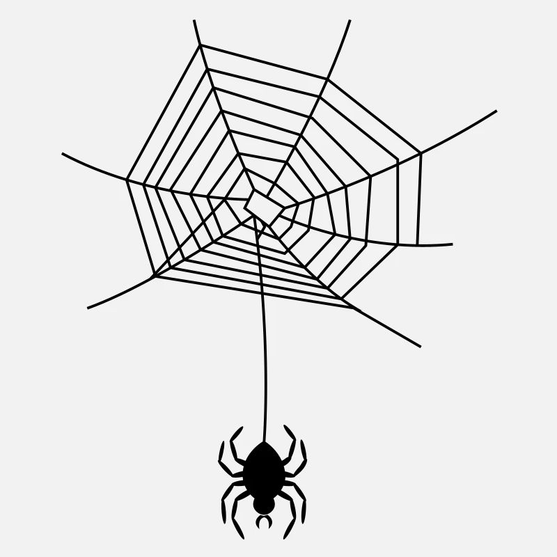 spinne_im_netz_f1