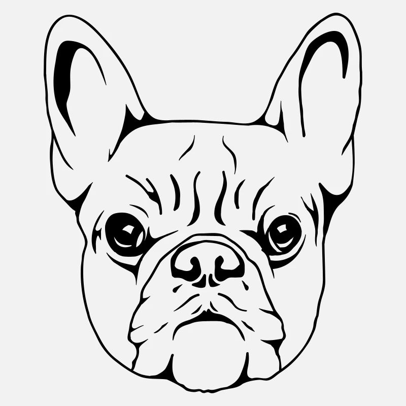 Bouledogue Français