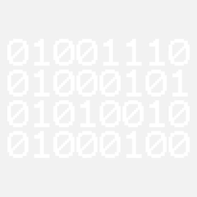 BINARY NERD