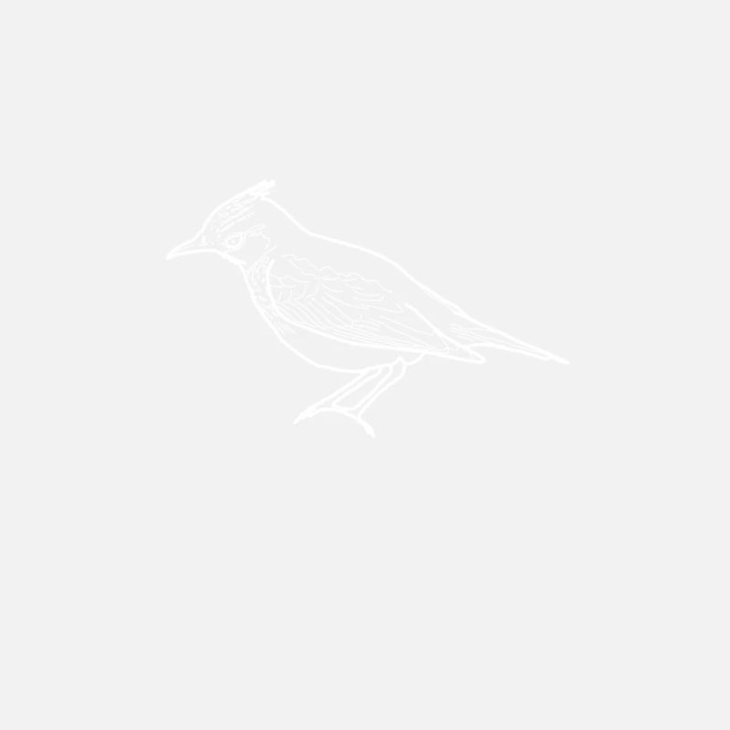 lark