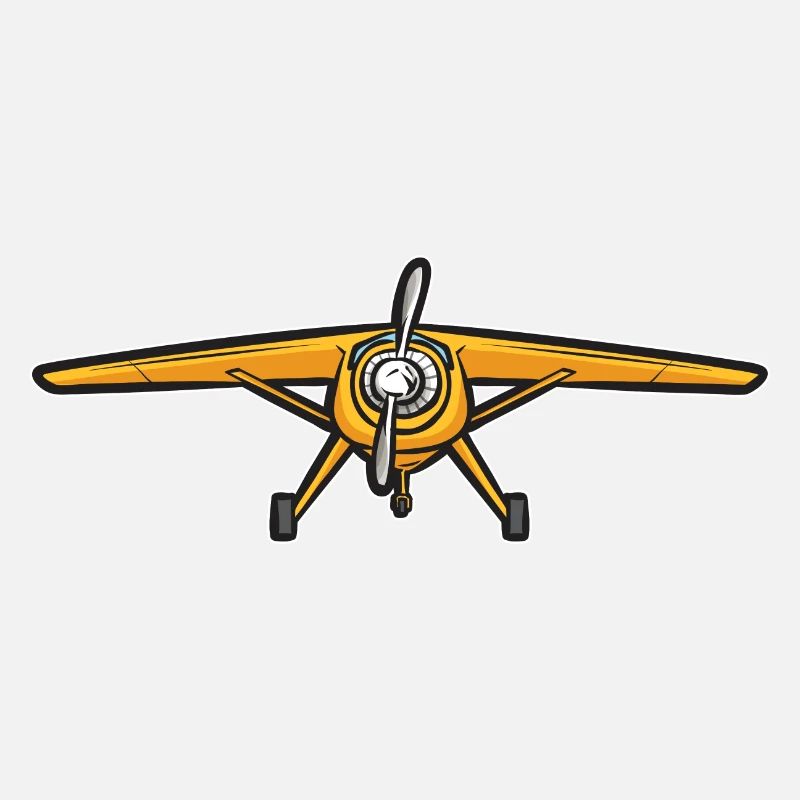 Modèle d’avion télécommandé