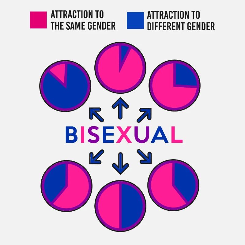 Bisexual Bi Pride Flag Pie Chart
