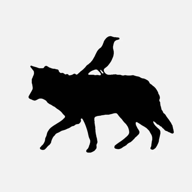 Raven on a wolve