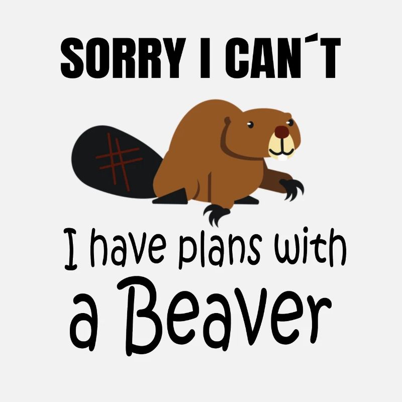 BEAVER: Plans with a Beaver