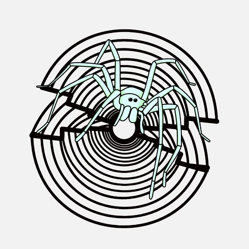 Spider Fantasy Spider Web Pets Kids Cool