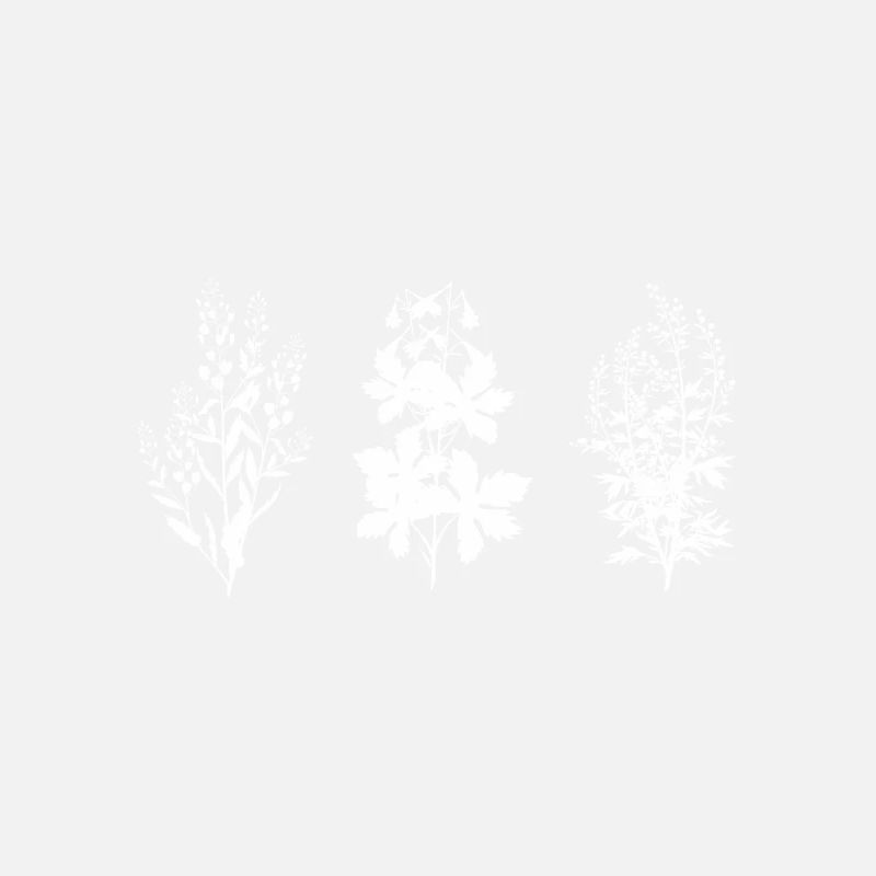 Wildblumen