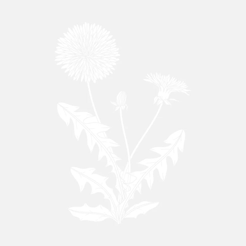 Wildblumen