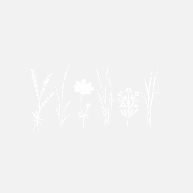 Wildblumen