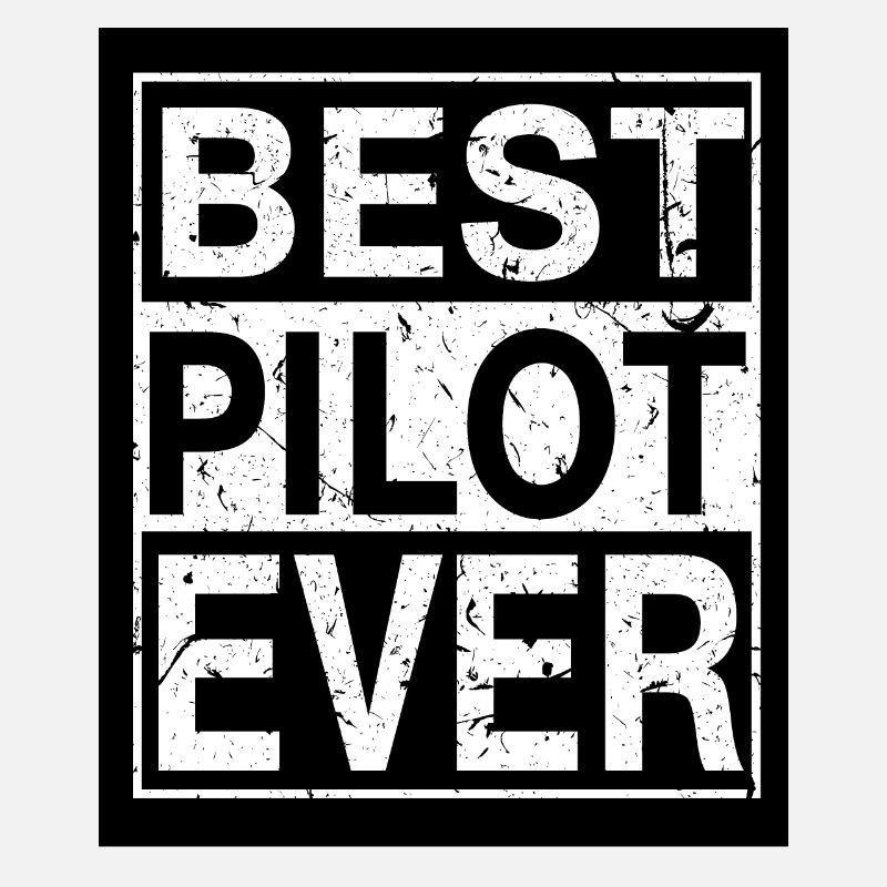 Pilot Bester Pilot