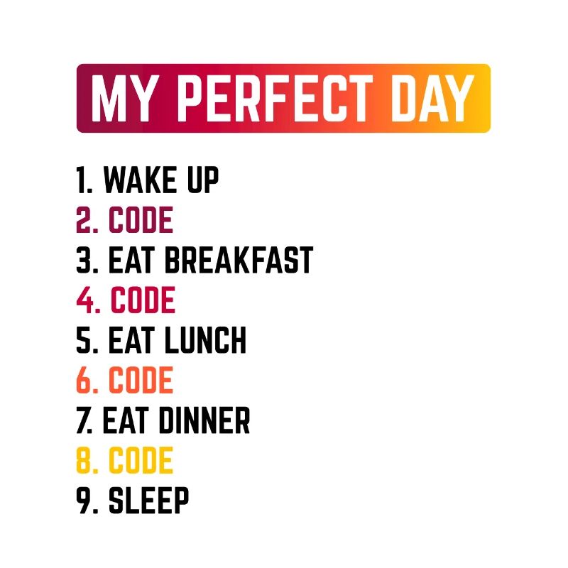 My Perfect Day Wake Up Code Software Developer Pro