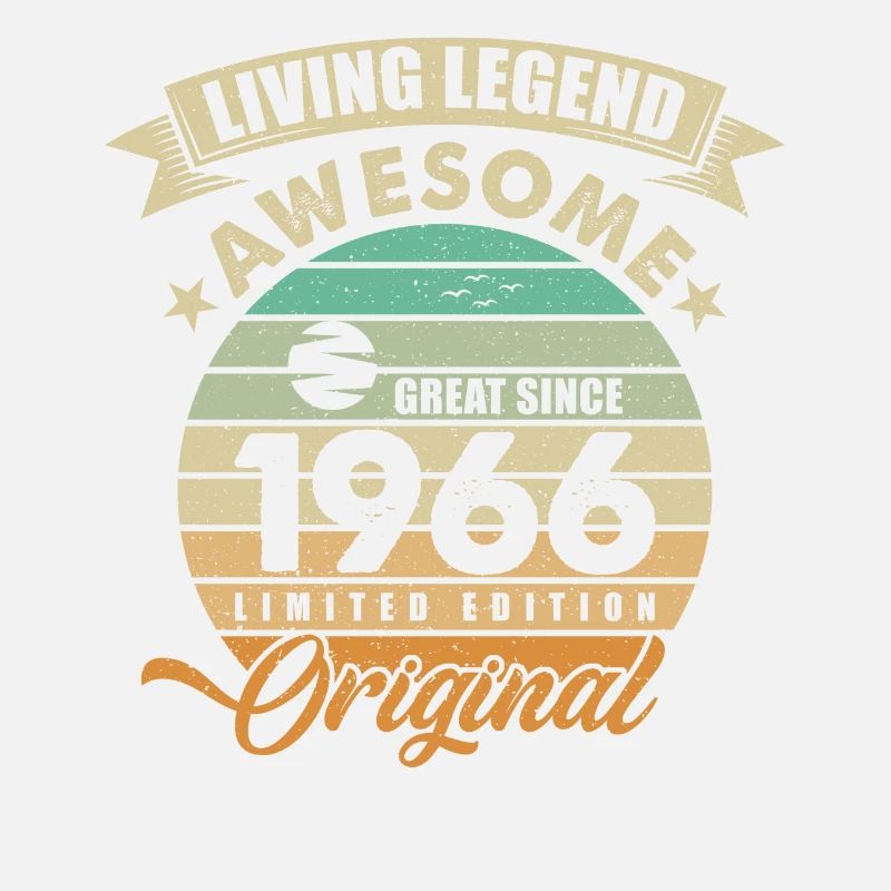 1966 Birthday Retro Orginal