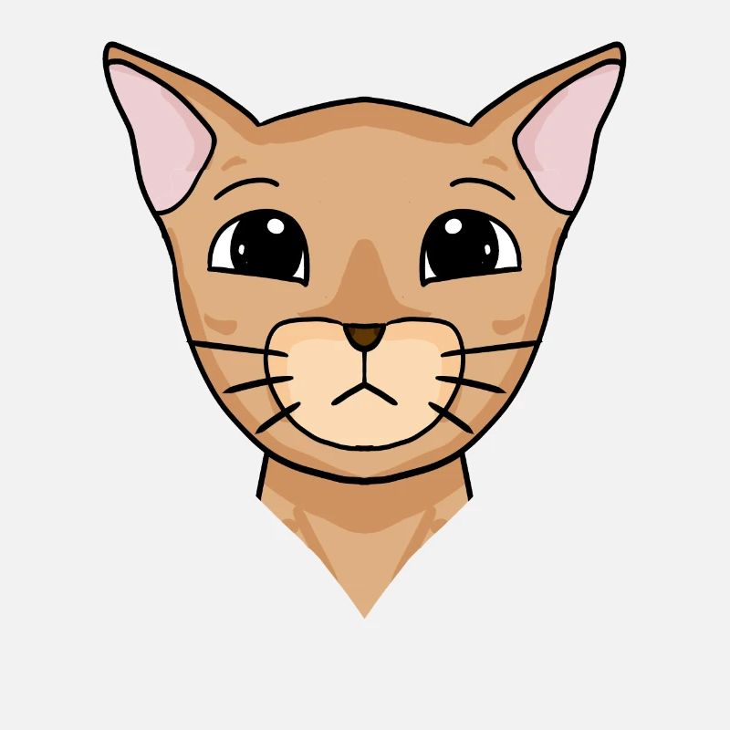 Abyssinian Cat Head Cat Cat Owner